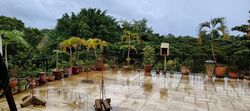 Celadon View (D17), Apartment #583101651